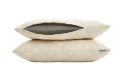 Latex Core Pillow Standard