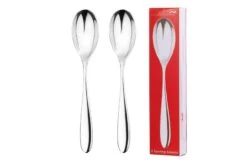 Santol Serving Spoons Set Of 2