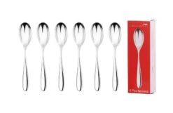 Santol Teaspoons 6 Piece Set