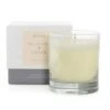 Fig Ginger & Cedar Scented Candle