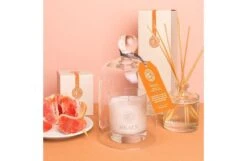Amber & Pink Pepper Diffuser Refill -Broste Copenhagen Shop a m amber and pink pepper 1 1
