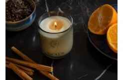 Bitter Orange & Cassis Dusk Candle -Broste Copenhagen Shop b i bitter orange cassis dusk candle