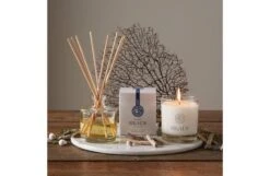 Coastal Breeze Diffuser Refill -Broste Copenhagen Shop c o coastal breeze 1 1