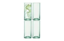 Canopy Beer Glass Set Of 4