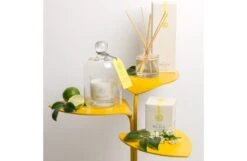 Elderflower & Lime Diffuser Refill -Broste Copenhagen Shop e l elderflower and lime 1 1