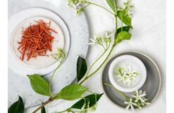 Jasmine & Sandalwood Scented Candle -Broste Copenhagen Shop f r fragrance shoot 659 jasmine and sandalwood