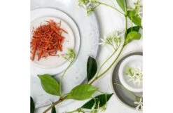 Jasmine & Sandalwood Diffuser Refill -Broste Copenhagen Shop f r fragrance shoot 659 jasmine and sandalwood 2 2