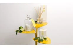 Elderflower & Lime Diffuser Refill -Broste Copenhagen Shop h e heal s scented candles 118 2