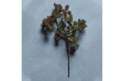 Pine Branch Dusk Faux Stem -Broste Copenhagen Shop p i pine branch 3