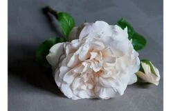 Rosa Vanilla -Broste Copenhagen Shop rosa vanilla 2