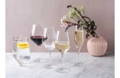 Spiegelau Authentis Highball Glasses Set Of 6 -Broste Copenhagen Shop s p spiegelau glassware 033 detail 1 1