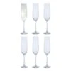 Six Champagne Flute Set Of 6