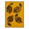 Frutteto Limone On Yellow Print 50 X 70cm