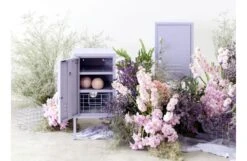 The Shorty To The Right Cabinet 25 The Shorty To The Right Cabinet -Broste Copenhagen Shop the shorty lifestyle 3