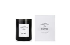 Fig Tree Candle