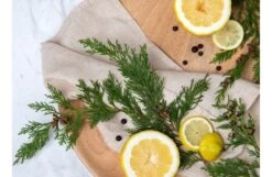 Yuzu & Cypress Natural Reed Diffuser -Broste Copenhagen Shop y u yuzu and cypress 1